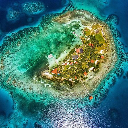 Hatchet Caye Island Resort (Adults Only) Placencia ภายนอก รูปภาพ